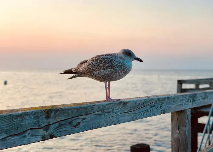 Strandbude 17 * Heiligenhafen